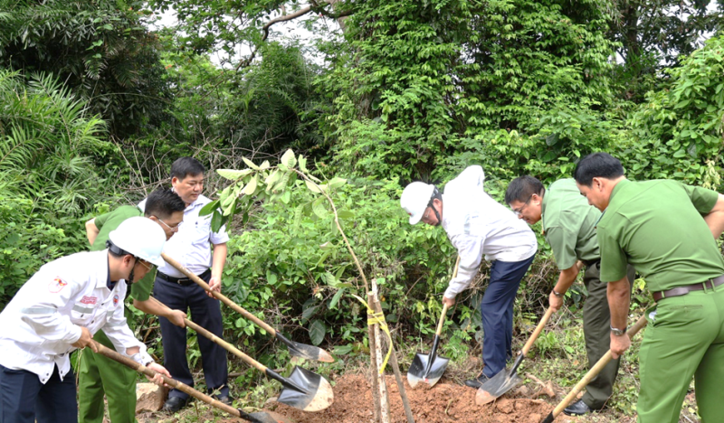 Vietsovpetro khởi công công trình “Đường hoa bằng lăng - hoa giấy” tại Côn Đảo Vietsovpetro khởi công công trình “Đường hoa bằng lăng - hoa giấy” tại Côn Đảo