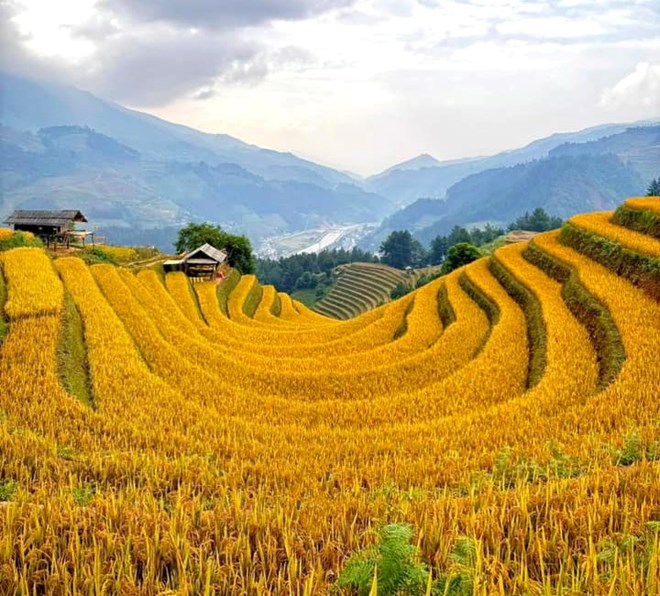 Yên Bái tìm nhà thầu đo đạc, lập bản đồ địa chính tại Mù Cang Chải và 3 huyện, thị khác. Ảnh Mù Cang Chải: Lan Hoàng.