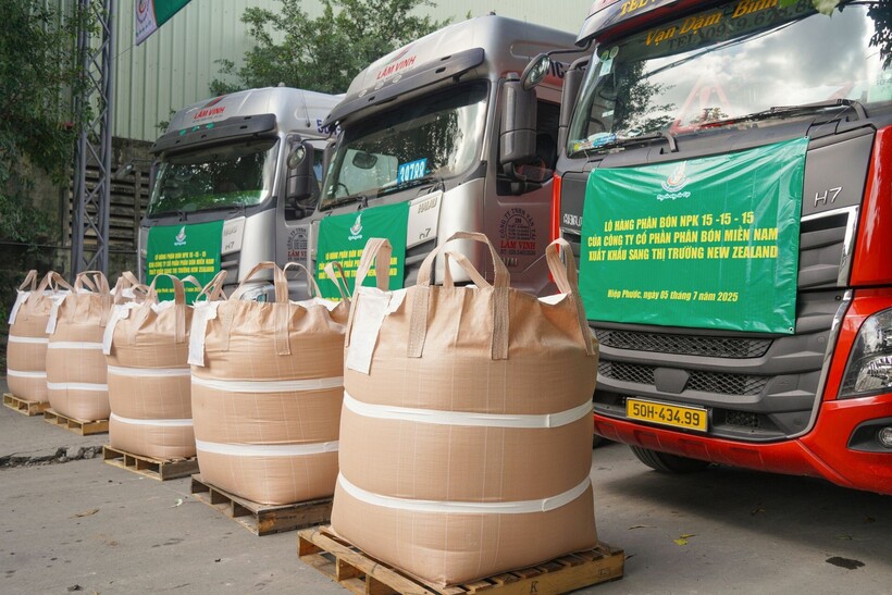 Lô hàng phân bón NPK 15-15-15 xuát khẩu sang thị trường New Zealand