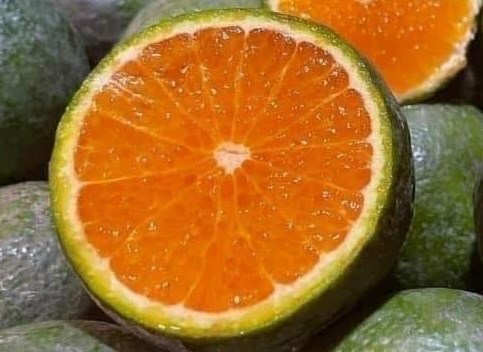 Loại quả có múi quen thuộc, rẻ tiền có thể giúp hỗ trợ giảm nguy cơ mắc sỏi thận