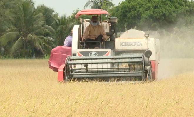 Nông nghiệp Vĩnh Long tăng tốc cuối năm với 6 nhiệm vụ trọng tâm