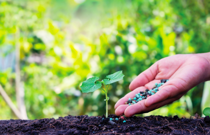 Phát triển ngành hoá chất xanh, góp sức bảo vệ môi trường. Ảnh minh hoạ