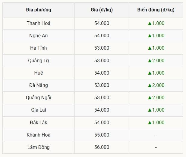 Miền Trung - Tây Nguyên Sóng thần giá heo, tăng mạnh đến 2.000 đồng kg