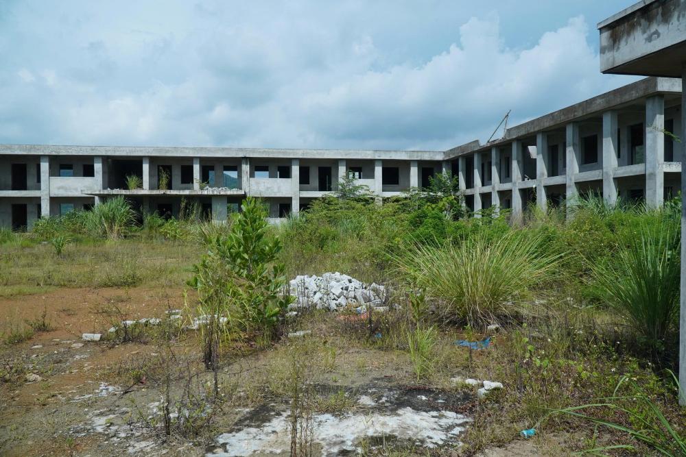 Cỏ dại mọc um tùm bên trong sân trường. Ảnh: Quách Du