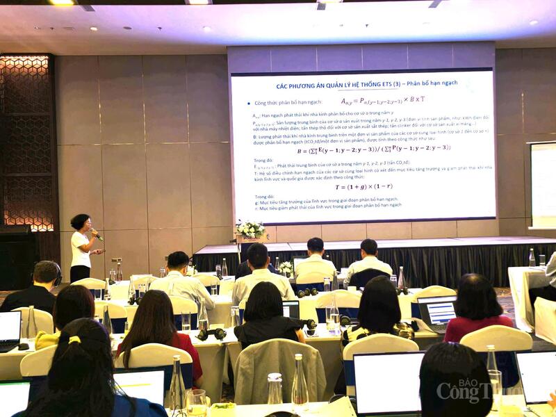 Bà Nguyễn Hồng Loan trình bày báo cáo hỗ trợ kỹ thuật.