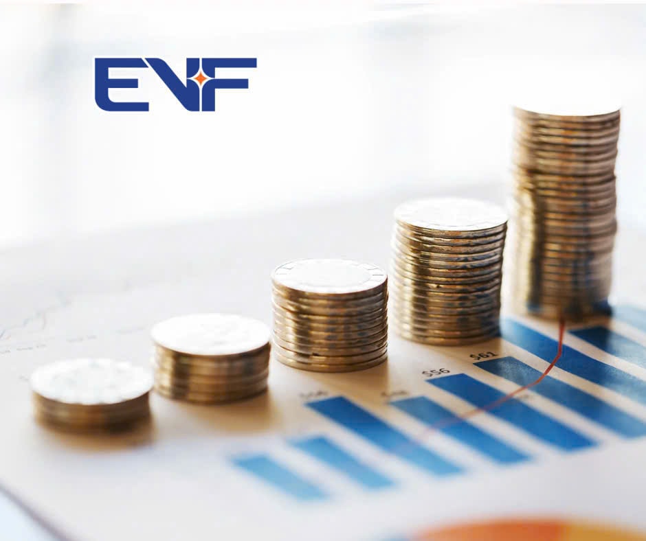 evf1.jpg