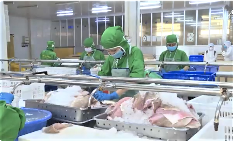 An Giang n&acirc;ng cao chất lượng chế biến thủy sản