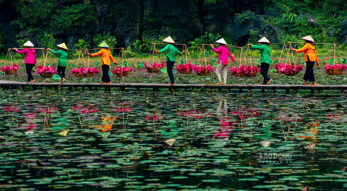 Ngoài vẻ đẹp lãng mạn của hoa súng, Tam Cốc còn là điểm đến lý tưởng để du khách khám phá thêm nhiều hoạt động thú vị khác. Du khách có thể tham quan các hang động kỳ vĩ như Hang Cả, Hang Hai, Hang Ba, hay chinh phục những dãy núi đá vôi hùng vĩ.