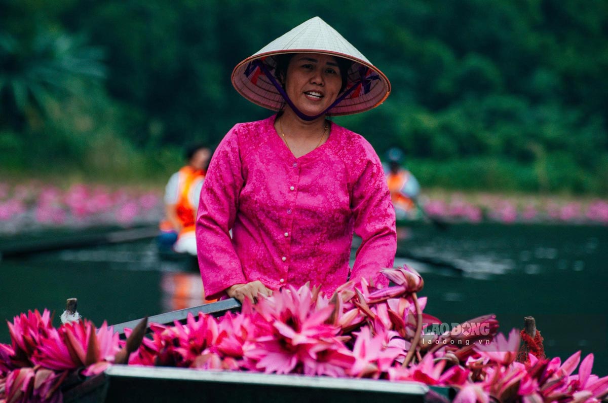 Để ghi lại những bức ảnh đẹp, nhiều du khách sẵn sàng chi tiền để thuê những chiếc thuyền hoa tím. Em Hoàng Anh, thành phố Ninh Bình chia sẻ: “Khu du lịch nghiêm cấm việc hái hoa để giữ gìn cảnh quan. Du khách muốn có những bức ảnh đẹp với thuyền hoa nên chuẩn bị hoa mang từ ngoài vào hoặc có thể hẹn trước người dân trong xã để đặt mua hoa. Giá thuê một thuyền hoa khoảng từ 500 nghìn đồng“.