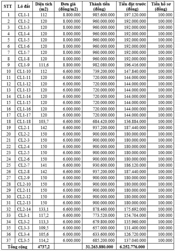 Thông tin phiên đấu giá 37 lô đất tái định cư tại xã Cổ Lễ, tỉnh Ninh Bình. Ảnh: Công ty Đấu giá Hợp danh Nam Bắc