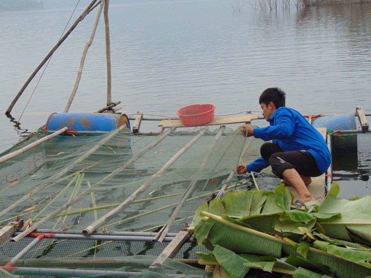 Hủa Na thắp sáng đại ngàn
