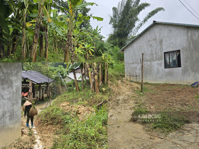 Một phần đất đồi đã đứt chân, có thể sạt xuống bất cứ lúc nào. Ảnh: Nhóm PV