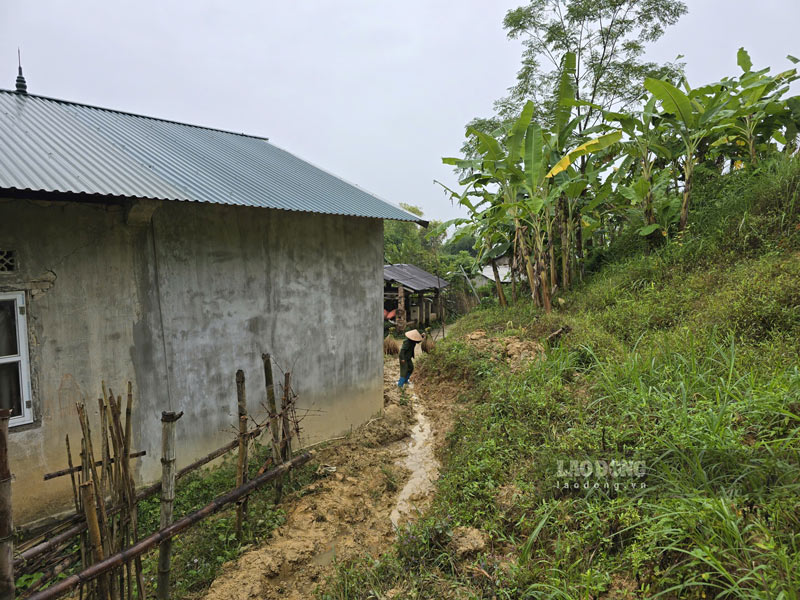 Theo bà Huê, người mẹ chồng lớn tuổi của bà luôn bất an bởi đồi đất sạt lở sau nhà. Ảnh: Tân Văn