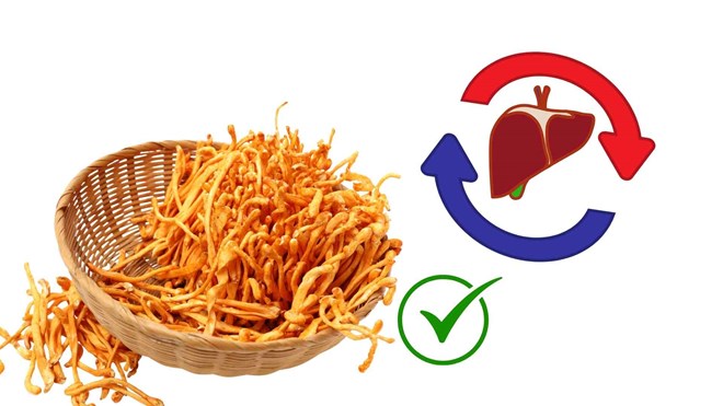 Loại dược liệu tốt cho gan thận