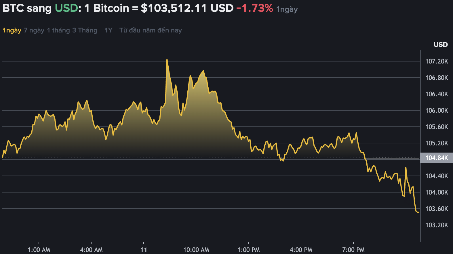Dữ liệu trên Binance - sàn giao dịch tiền mã hóa lớn nhất thế giới cho thấy Bitcoin không ngừng biến động, đạt mốc 103.000 USD. Nguồn: Binance.com