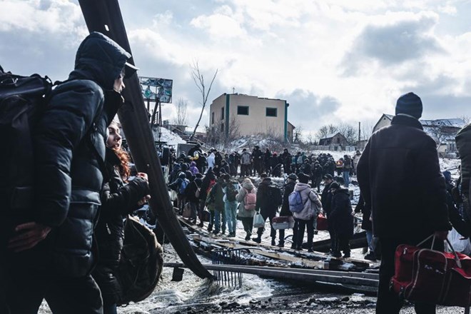 Đức giảm hỗ trợ, khuyến khích người tị nạn Ukraina kiếm việc làm