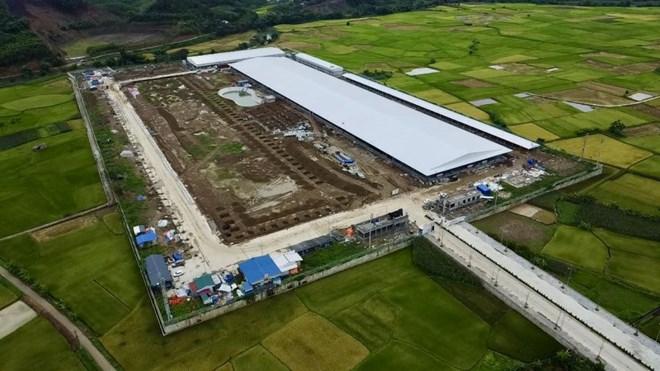 Cụm công nghiệp Tân Dương kỳ vọng tạo việc làm cho hàng nghìn lao động