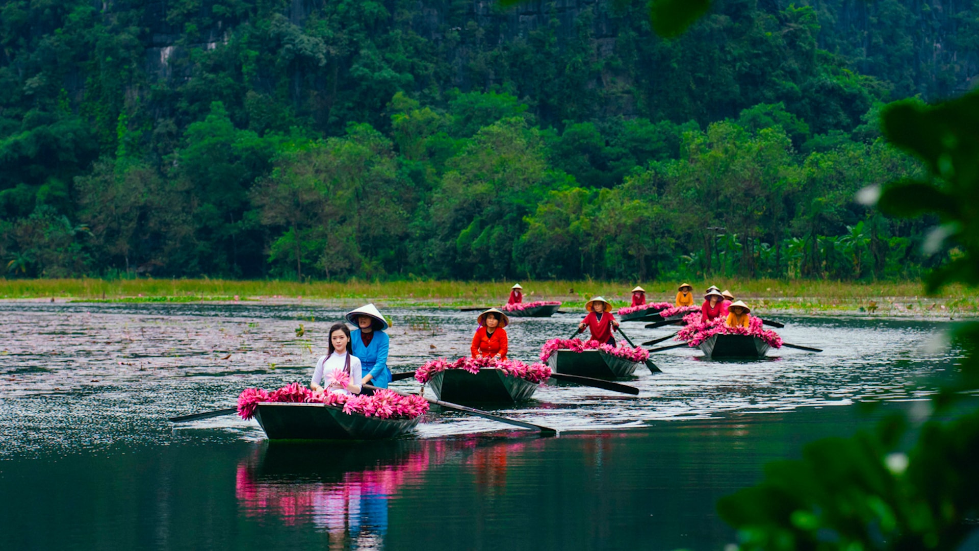 Khu du lịch Tam Cốc (Ninh Bình) đang bước vào mùa hoa súng nở rộ đẹp nhất trong năm, thu hút đông đảo du khách trong nước và quốc tế đến tham quan, chiêm ngưỡng và chụp ảnh.