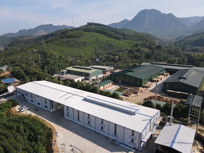 Dự kiến tăng trưởng GDP Việt Nam năm 2025 tăng trên 8%