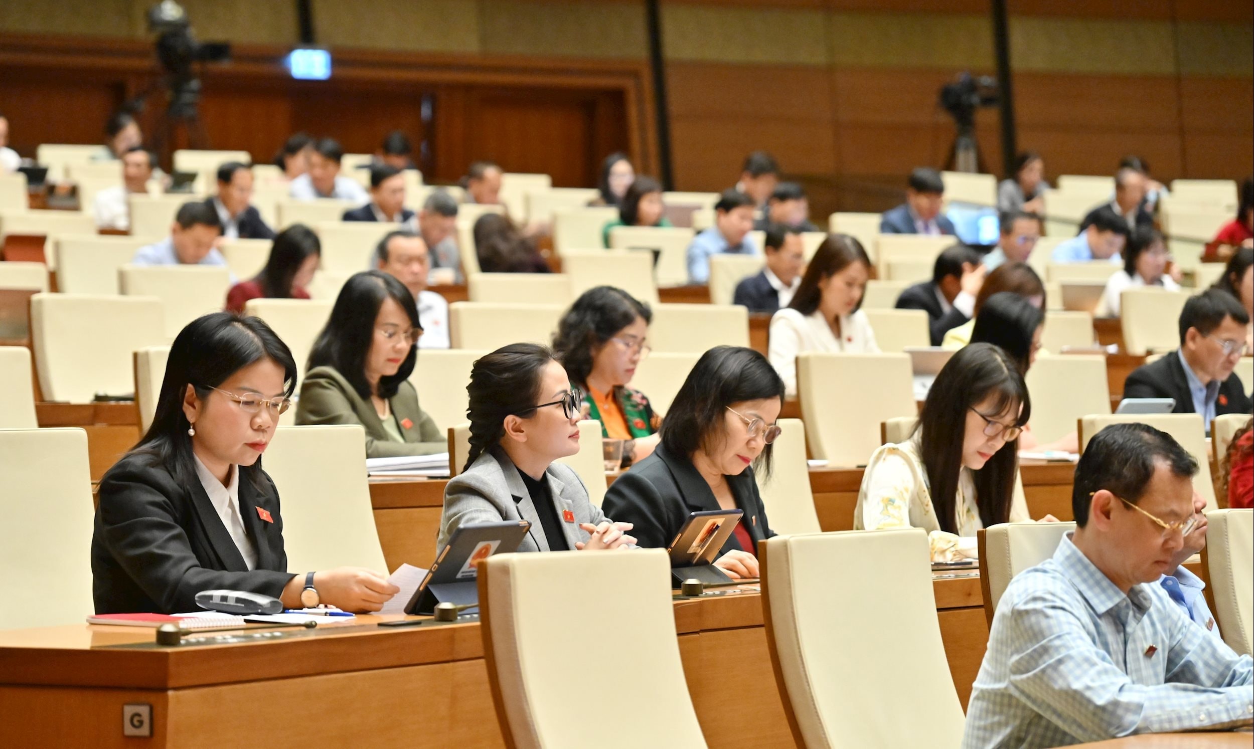 Các đại biểu tại phiên họpVQK_0008