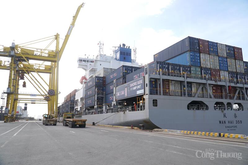 Các đại biểu đến thăm khu vực bến tàu đón tàu container tại cảng Tiên Sa.