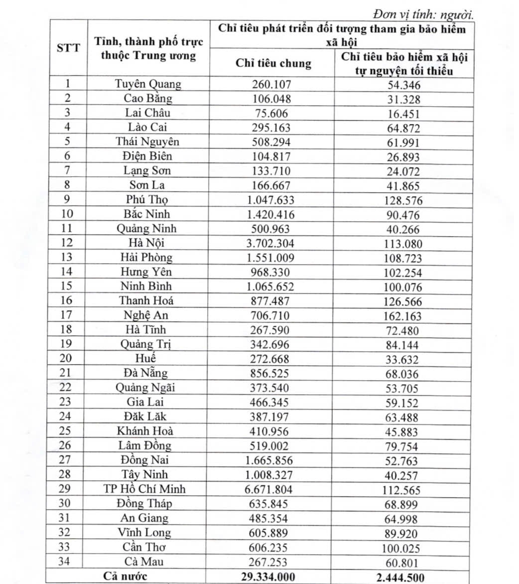 Chính phủ giao chỉ tiêu phát triển đối tượng tham gia bảo hiểm xã hội cho 34 tỉnh, thành phố- Ảnh 2.