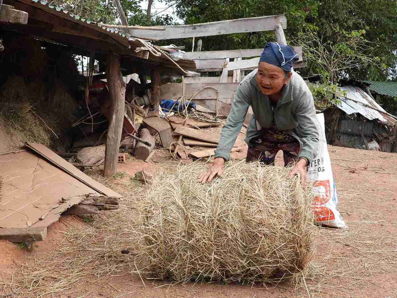 Nhiều người dân trong xã đã có sinh kế bền vững. Ảnh: Bảo Trung