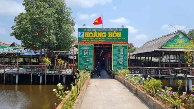 Vào rừng ngập mặn làm du lịch, homestay