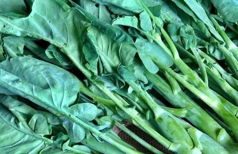 Giảm ho, sáng mắt nhờ một loại rau cải