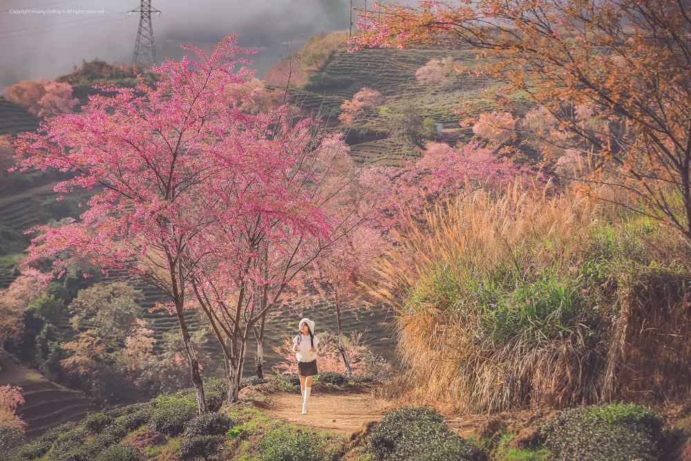 Khách ưu tiên chọn tour ngắn ngày dịp Tết Dương lịch 2026. Ảnh: Hoàng Dưỡng