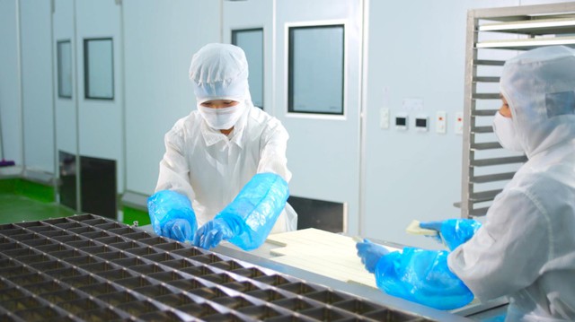 Kowa - Thương hiệu Nhật Bản đầu tư nhà máy thực phẩm triệu đô tại Việt Nam - Ảnh 4. Kowa - Thương hiệu Nhật Bản đầu tư nhà máy thực phẩm triệu đô tại Việt Nam - Ảnh 4.