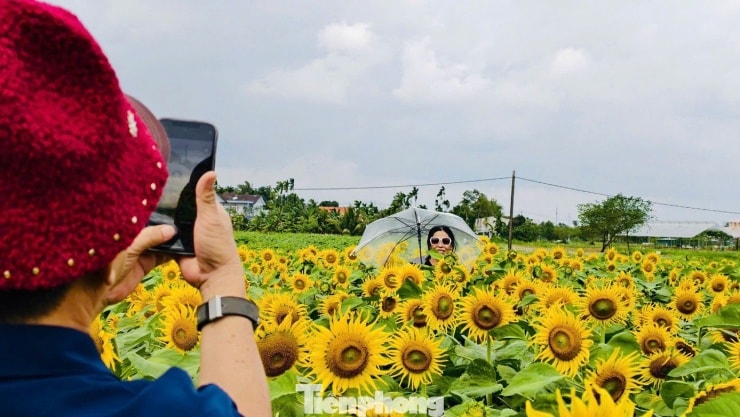 Chị Bùi Thị Mỹ Trinh, chủ vườn hoa, bên thành quả sau nhiều tháng chăm sóc.