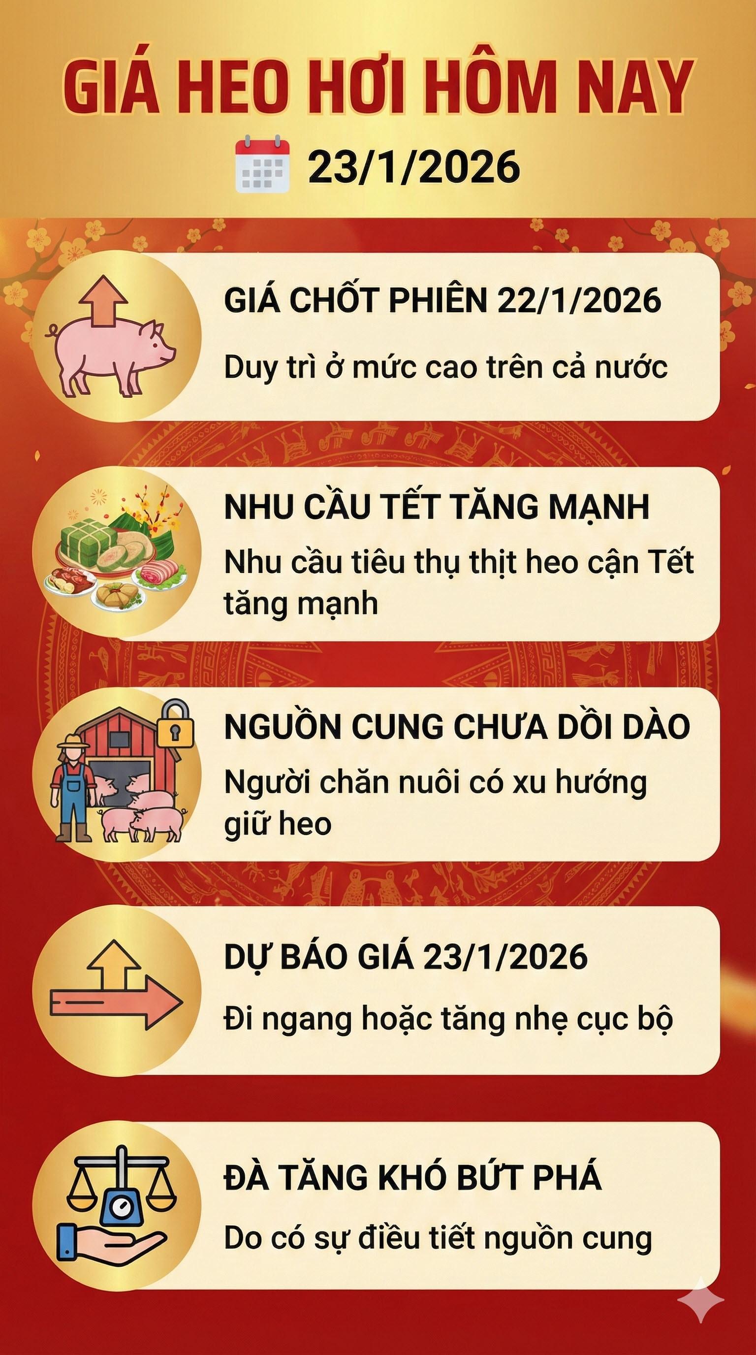 gia heo hoi hom nay 23-1-2026