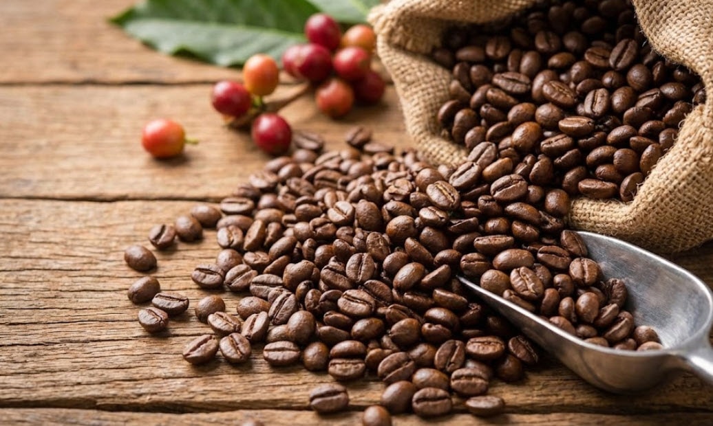 giá cà phê hôm nay 30-1-2026