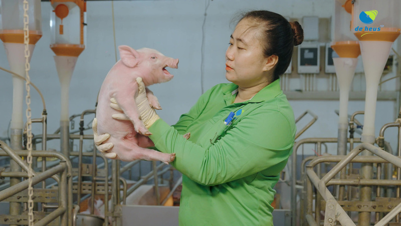 De Heus hoàn tất thành công việc mua lại CJ Feed & Care: Bước mở rộng chiến lược tại châu Á - 6