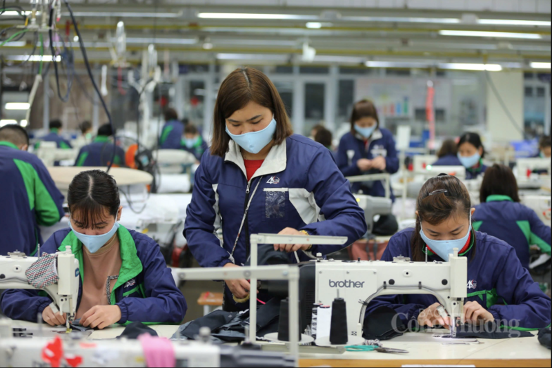 Doanh nghiệp dệt may rà soát hoạt động, giảm chi phí để ứng phó với biến động thị trường. Ảnh: Nguyễn Nam