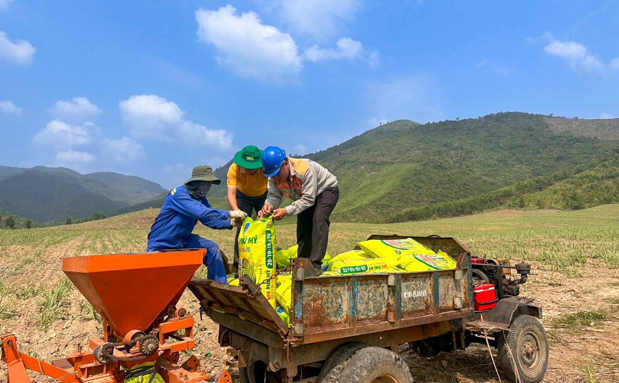 Nhà máy Đạm Phú Mỹ: Viên gạch đầu tiên của công nghiệp hóa dầu Việt Nam