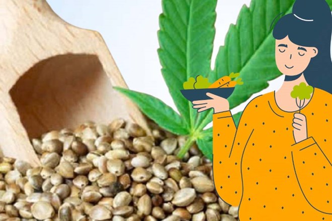 Hạt gai dầu và lợi ích dinh dưỡng đối với người ăn chay