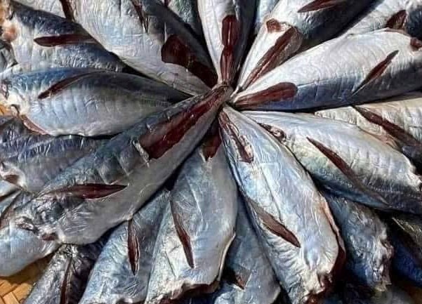 Bổ sung omega-3 từ cá nục bằng chế biến đúng cách