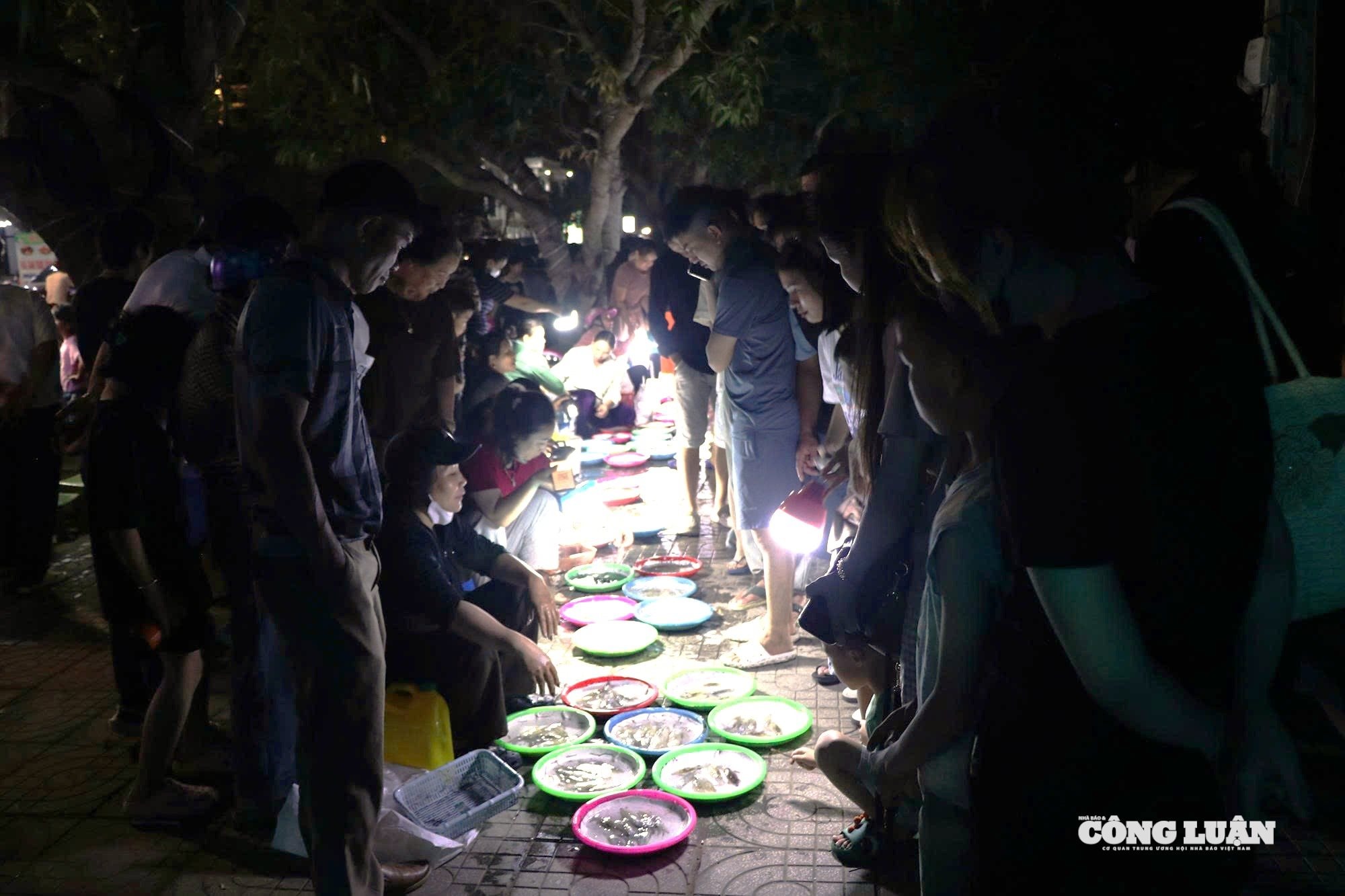 Mực bán theo mớ, không cân nhưng vẫn thu hút khách hàng