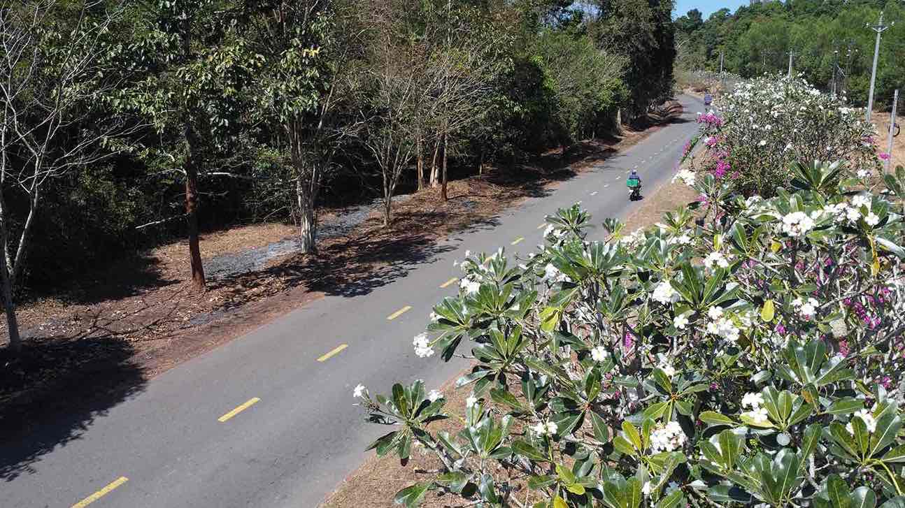 Trị An kết nối phía Bắc tỉnh Đồng Nai, khu vực Tây Nguyên. Ảnh: HAC