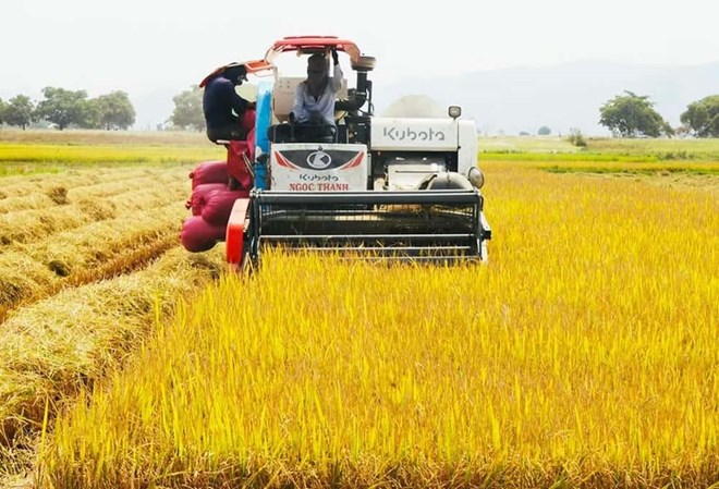 Xử lý các đối tượng đòi bảo kê máy gặt lúa ở Gia Lai