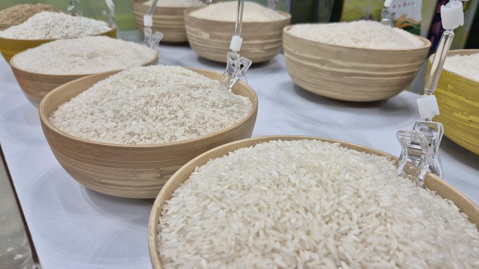 Bỏ giấy phép xuất khẩu gạo: Gỡ rào cản hay tạo cạnh tranh lệch chuẩn? - Ảnh 2.