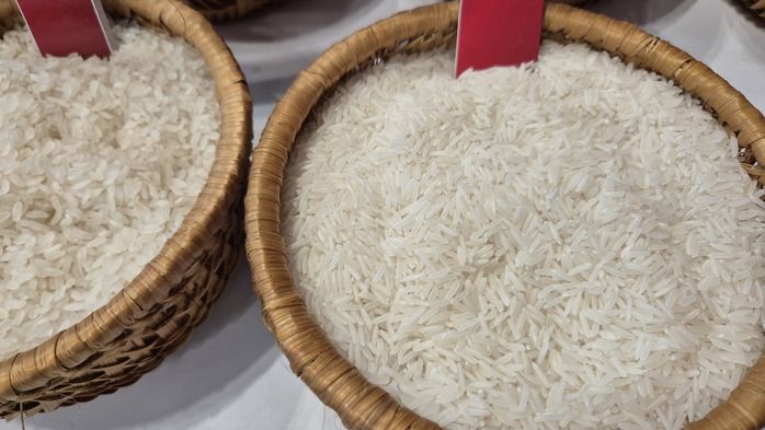 Bỏ giấy phép xuất khẩu gạo: Gỡ rào cản hay tạo cạnh tranh lệch chuẩn? - Ảnh 1.