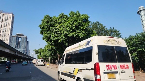 Lách luật, trốn tránh các điều kiện về kinh doanh vận tải gây khó cho công tác quản lý