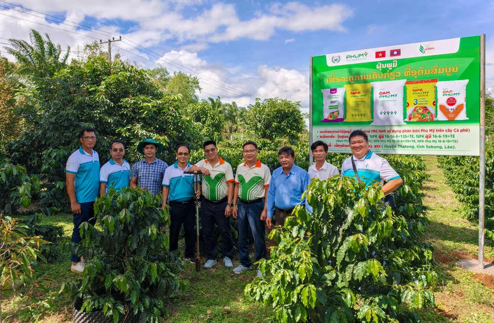 mo-hinh-lien-ket-4-nha-giua-doanh-nghiep-nha-khoa-hoc-don-vi-kinh-doanh-va-nha-nong-dang-duoc-phu-my-trien-khai-hieu-qua-tai-lao-gop-phan-dua-tien-bo-ky-thuat-vao-thuc-tien-san-xuat-nong-nghiep.jpg