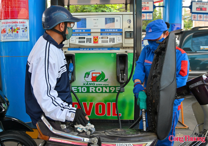 E10 không phải thử nghiệm mạo hiểm, mà là mẫu số chung của hàng chục quốc gia suốt 50 năm. Việt Nam đi sau, chọn mức an toàn nhất (E10), trên con đường thế giới đã dọn sẵn biển báo và bài học.