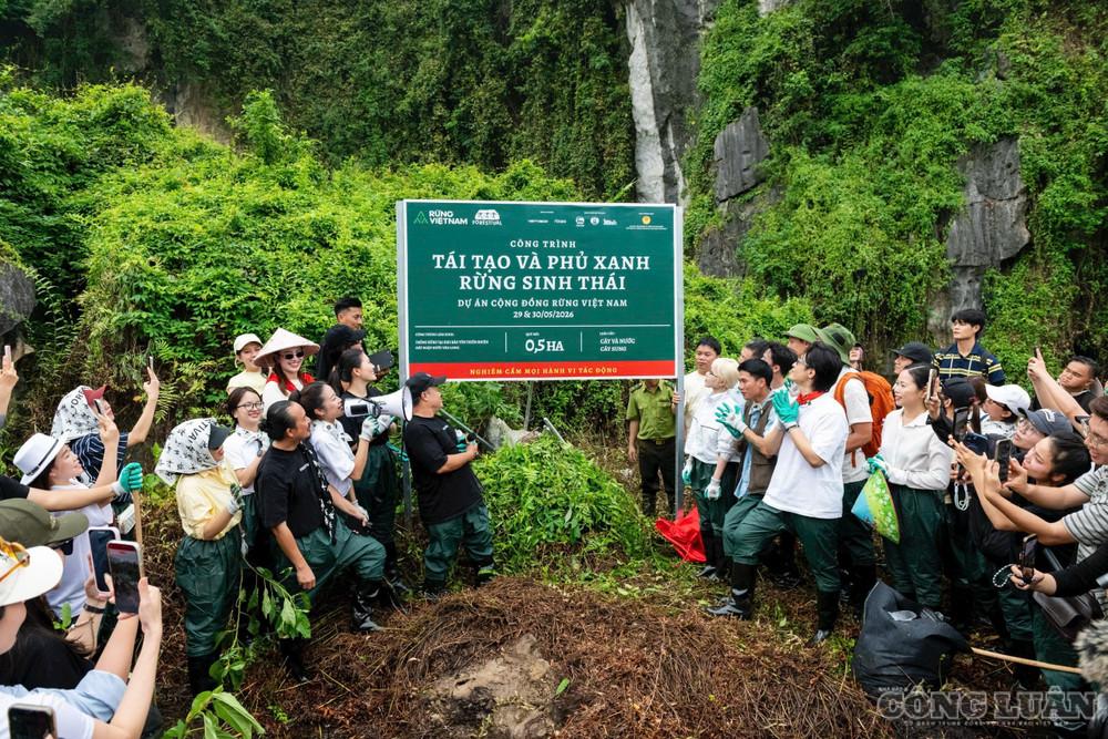 Công trình tái tạo và phủ xanh rừng sinh thái tại Khu Bảo tồn thiên nhiên đất ngập nước Vân Long. clo_br_img-1957.jpg