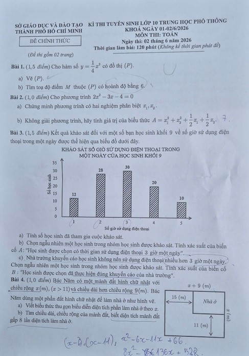 t-hcm-1.jpg