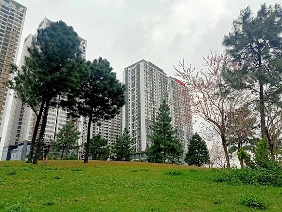 Chuyên gia dự báo xu hướng giảm giá chung cư, đất nền có thể gia tăng từ quý III/2026